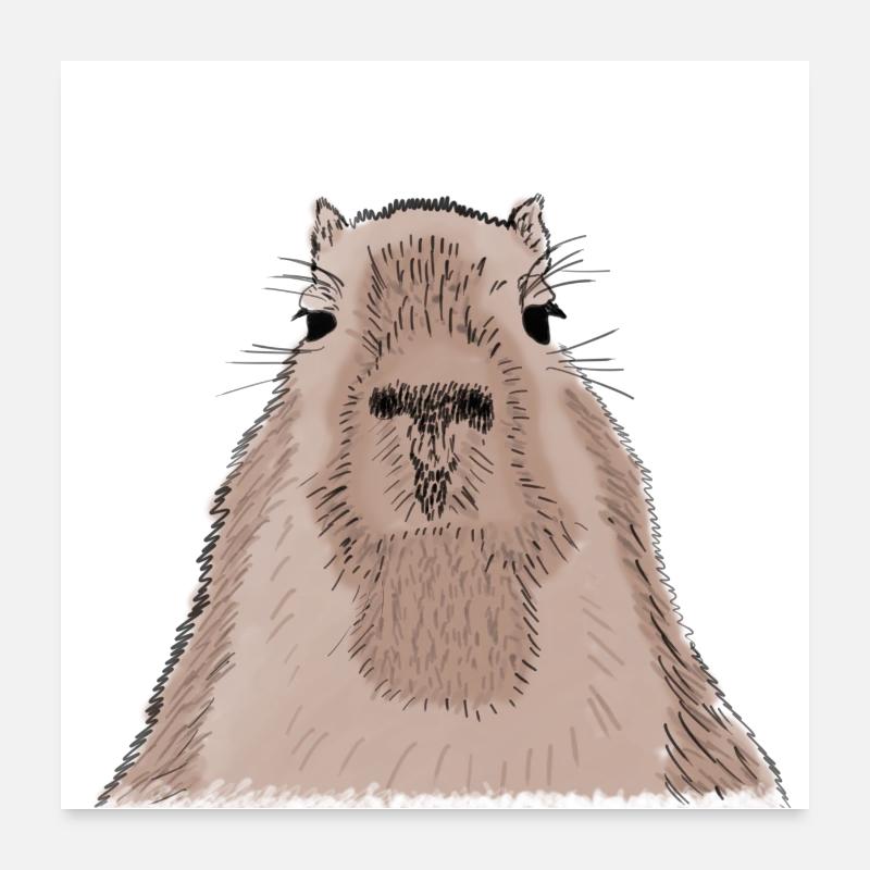 Capybara - Wasserschwein - Poster 60x60 cm - Weiß