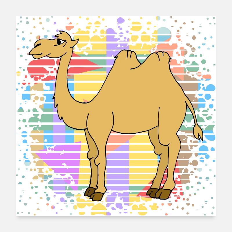 Kamel Poster 60x60 cm