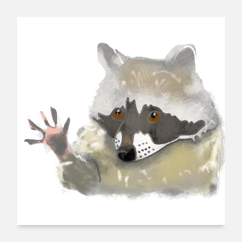 Waschbär - Poster 60x60 cm - Weiß
