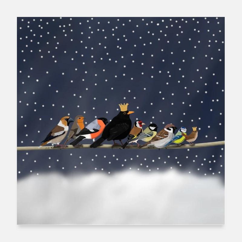 Impression d'art avec oiseau Oiseaux de jardin drôles sur branche Poster 60 x 60 cm