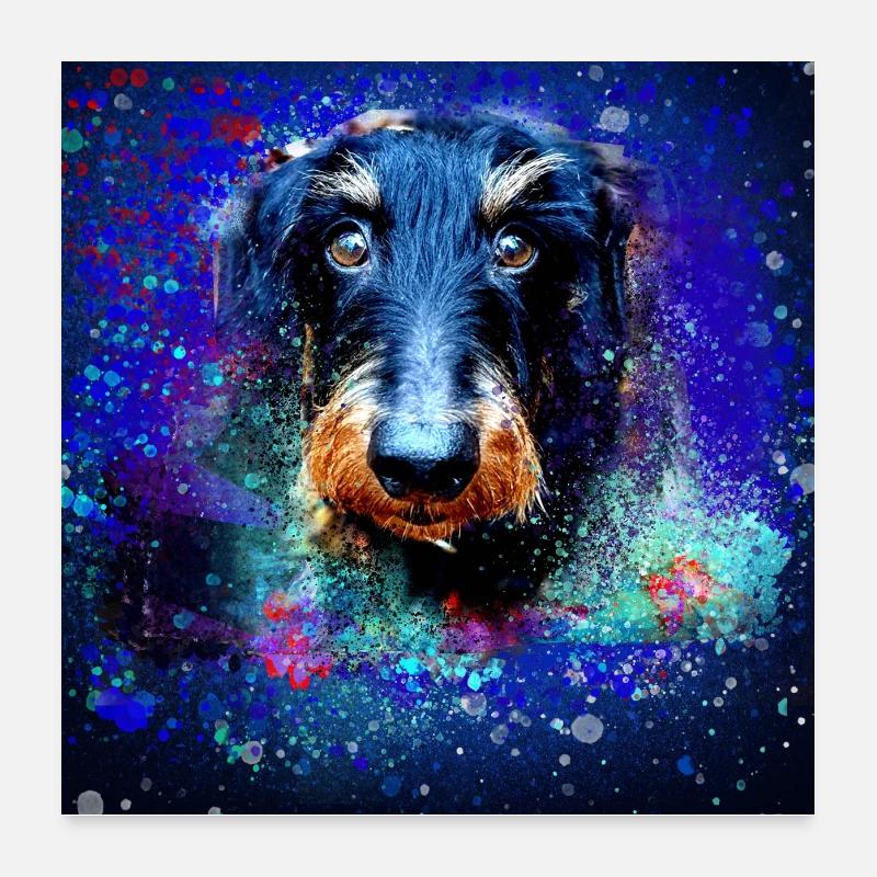 Dackel, Hund, Malerei, Graffiti,bunt - Poster 60x60 cm - Weiß