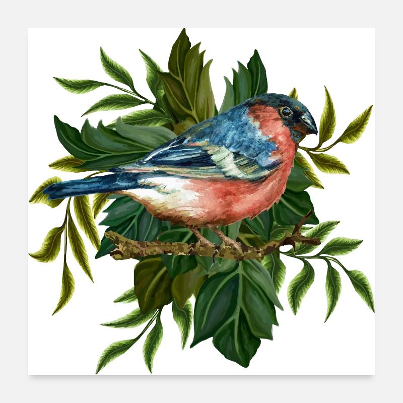 Bunter Vogel Poster 60x60 cm