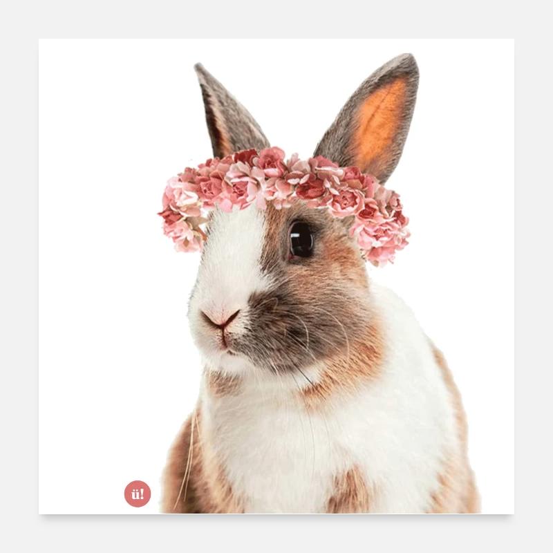 Rabbit - Poster 24" x 24" (60x60 cm) - white