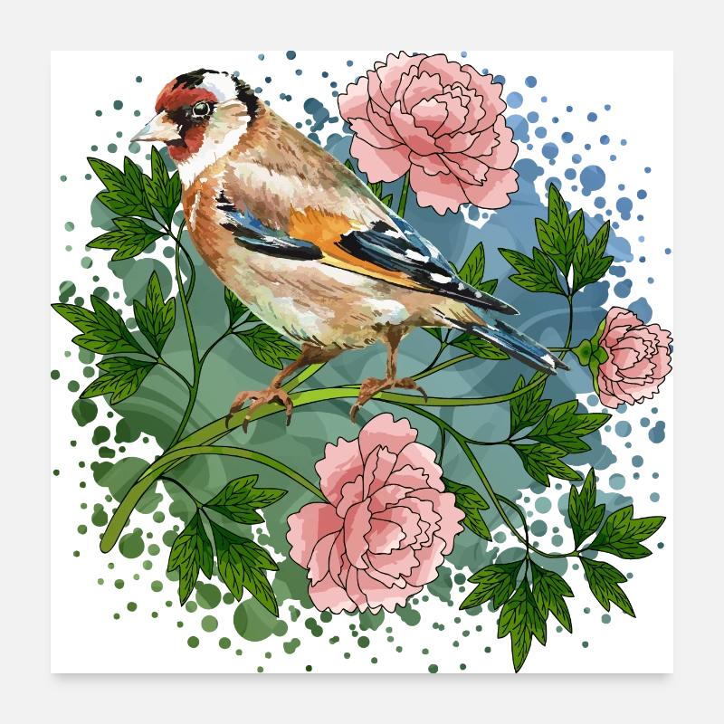 Oiseau coloré Poster 60 x 60 cm