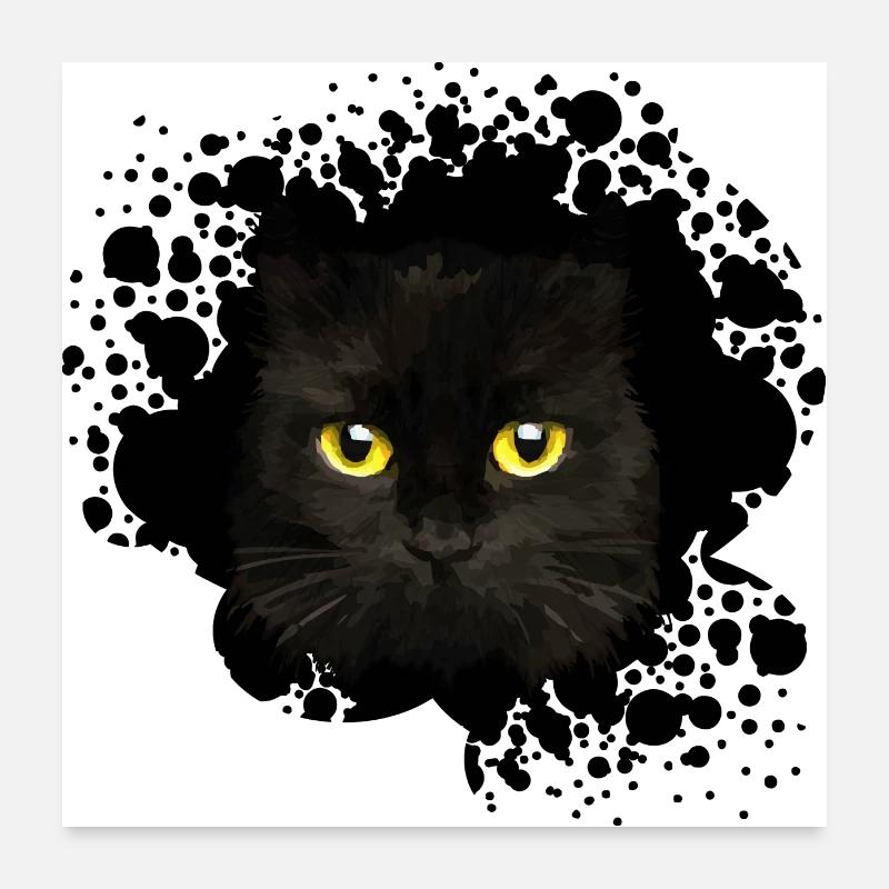 Katze Poster 60x60 cm