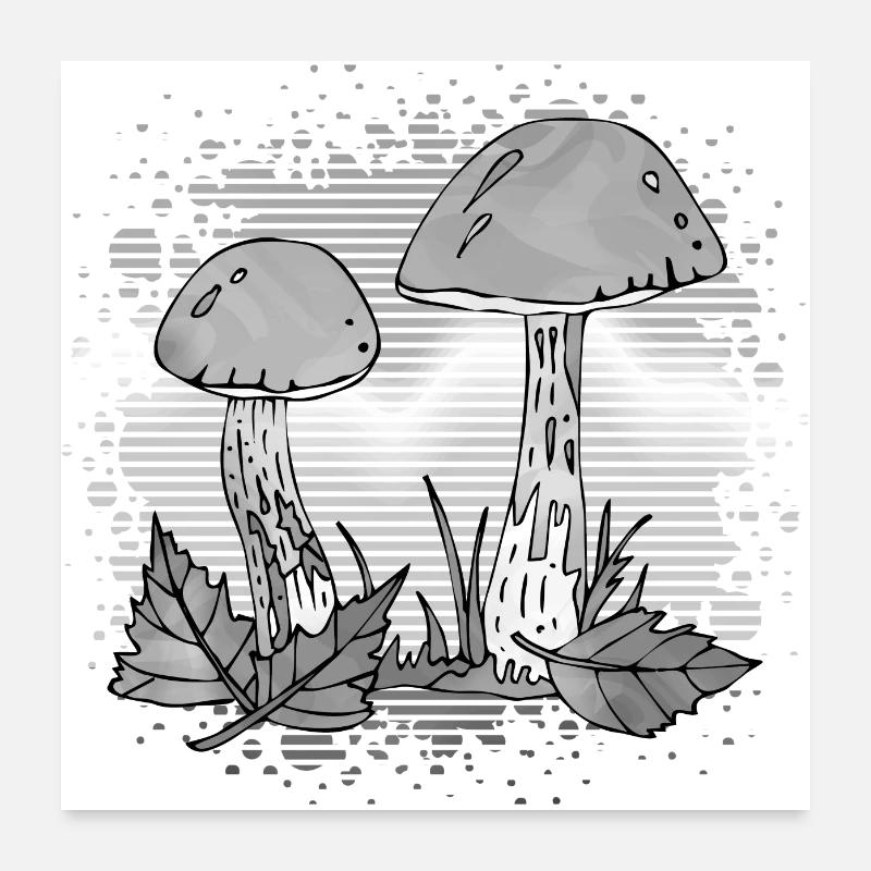 Pilze Poster 60x60 cm