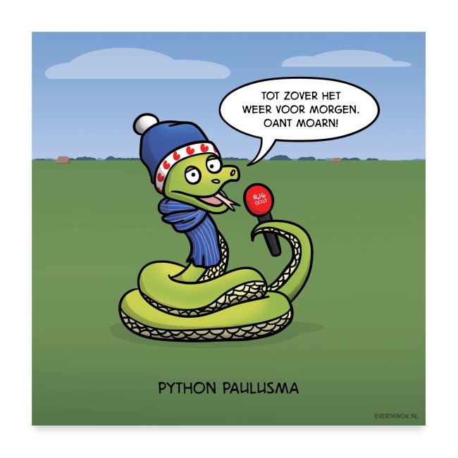 Evert Kwok cartoon 'Python'