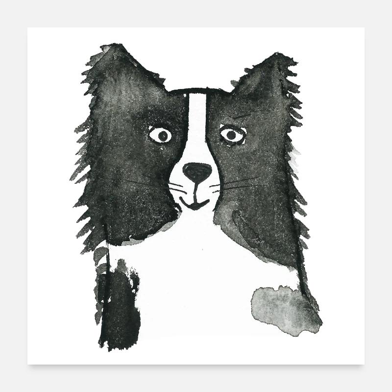 Border Collie Poster 60 x 60 cm