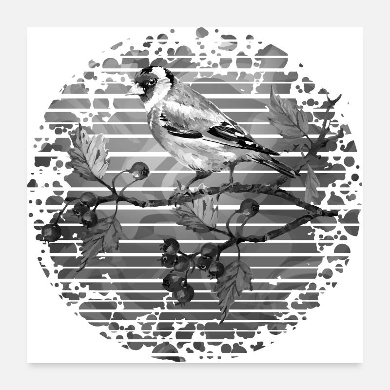 Oiseau Poster 60 x 60 cm