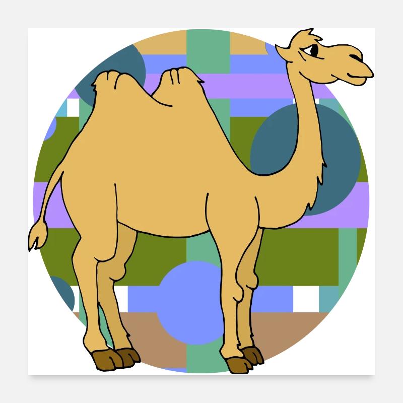 Camel Poster 24" x 24" (60x60 cm)