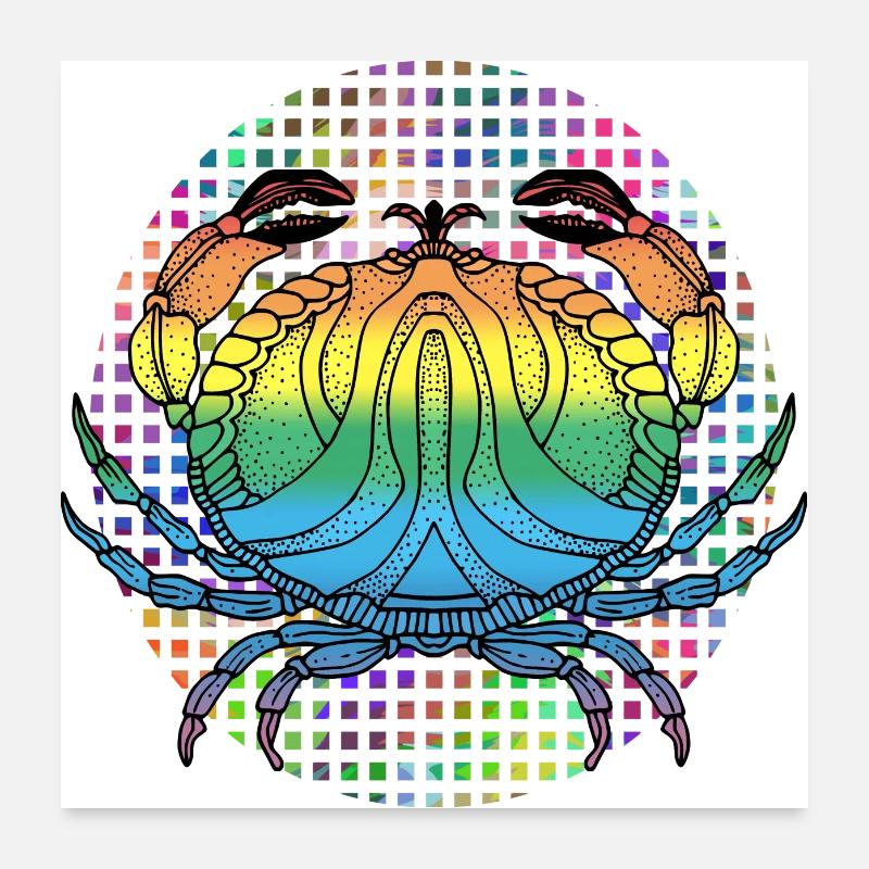 Krebs - Poster 60x60 cm - Weiß