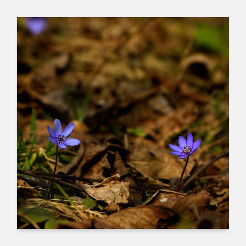 Spring flowers Poster 24" x 24" (60x60 cm)