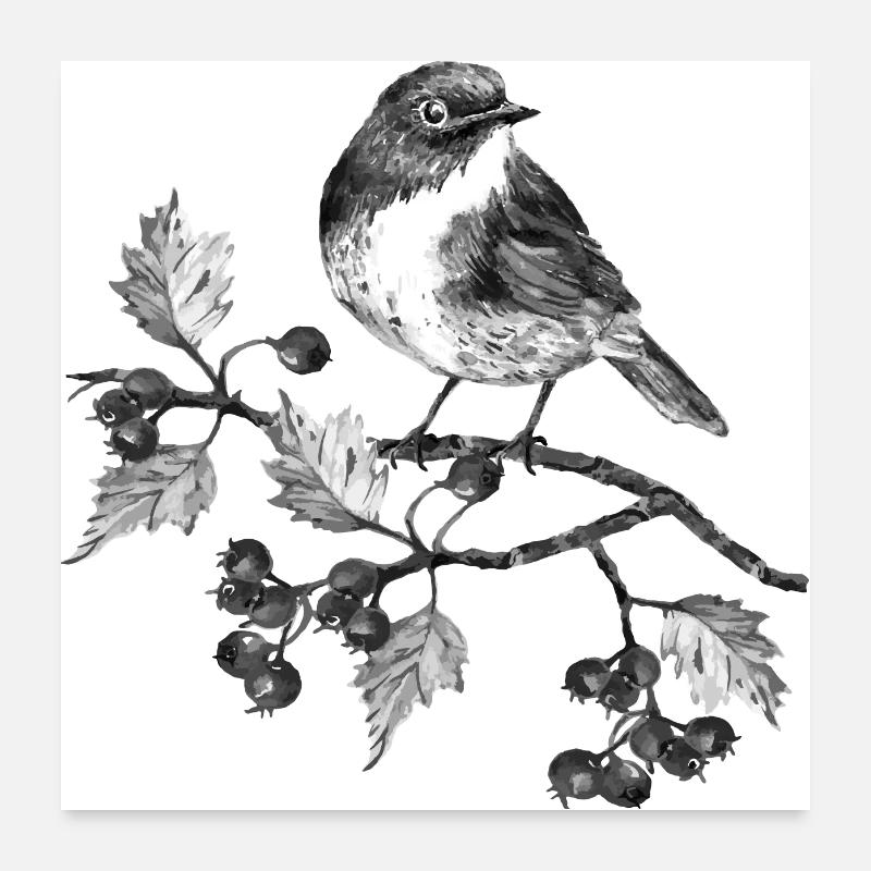 Oiseau Poster 60 x 60 cm