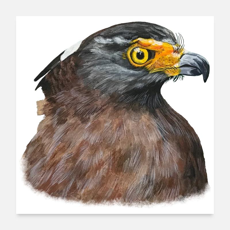 Wüstenbussard Bussard Greifvogel Raubvogel - Poster 60x60 cm - Weiß