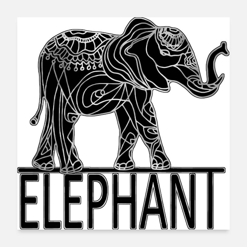 Elefant Poster 60x60 cm