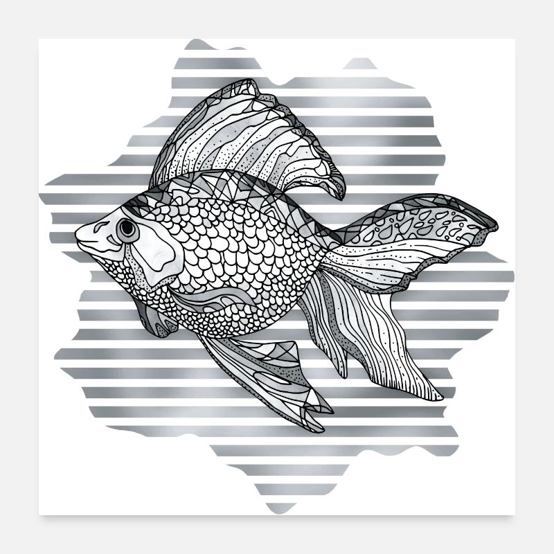 Fisch Poster 60x60 cm