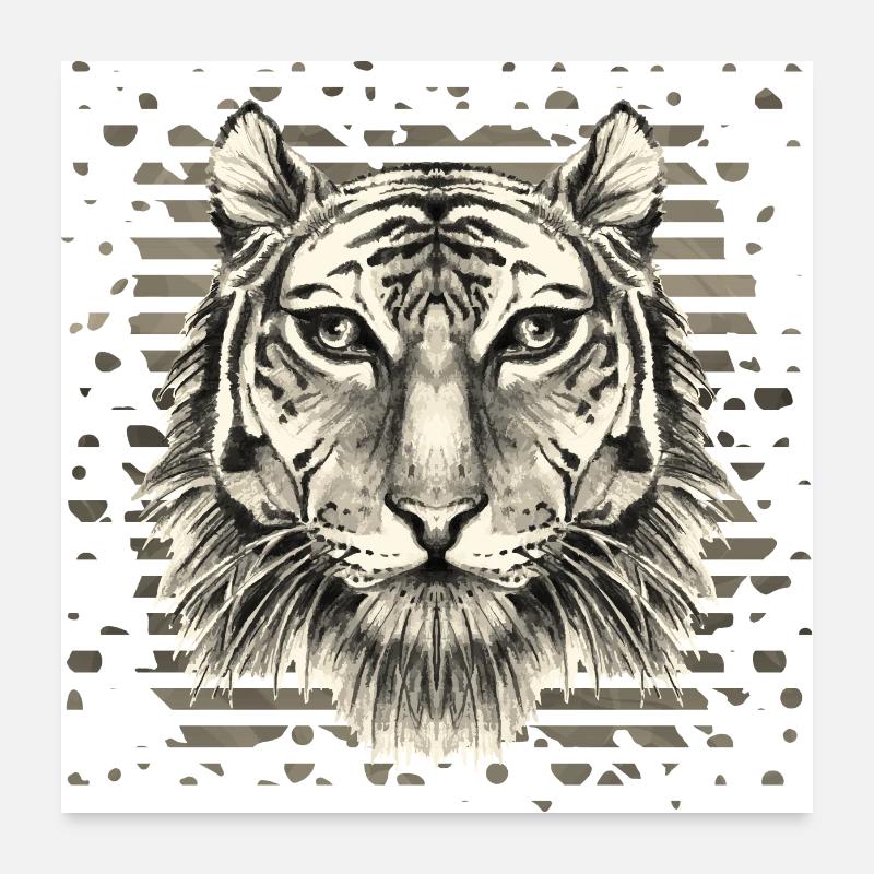 Tiger Poster 60x60 cm