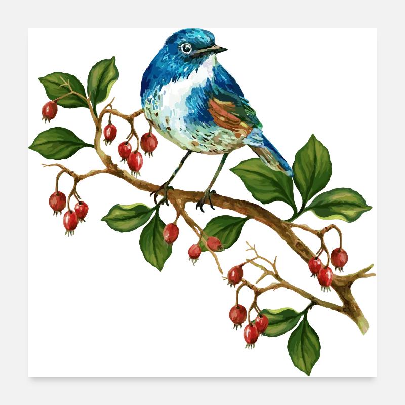 Oiseau coloré Poster 60 x 60 cm