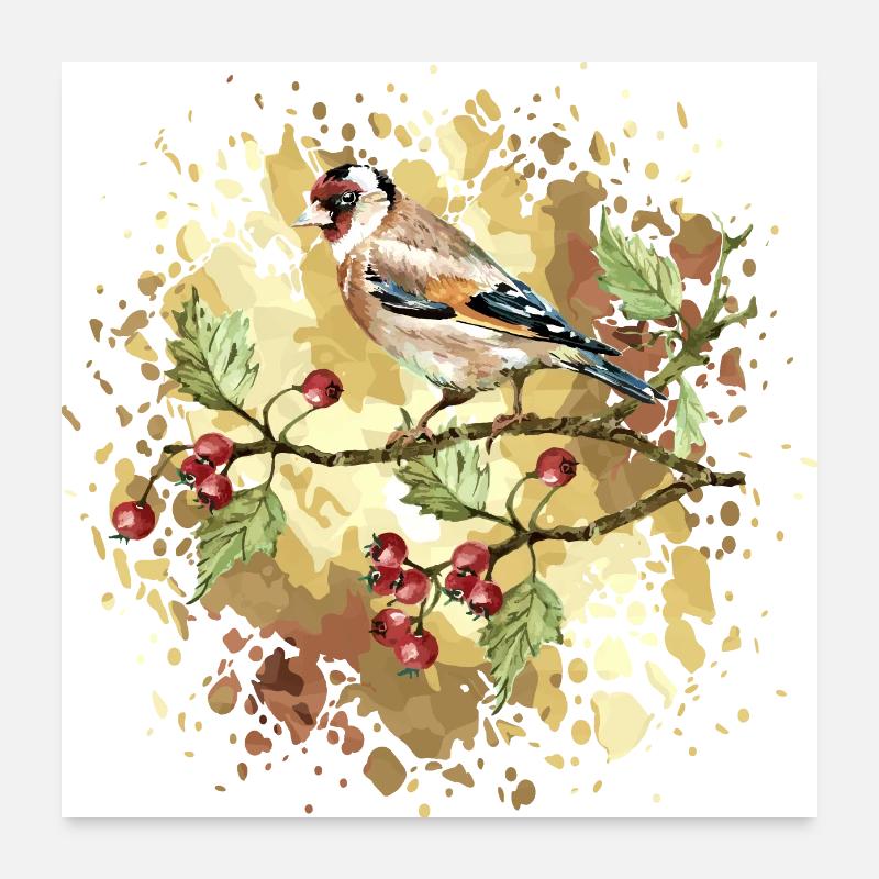 Oiseau coloré Poster 60 x 60 cm