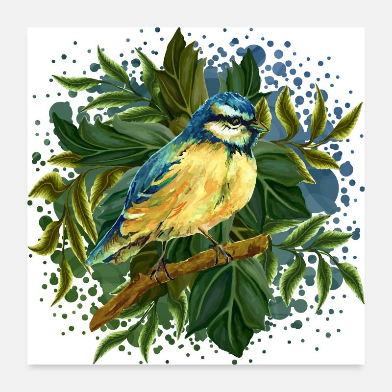 Oiseau coloré Poster 60 x 60 cm