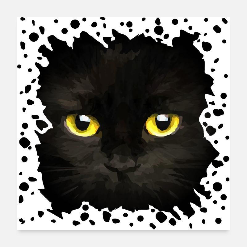 Katze Poster 60x60 cm