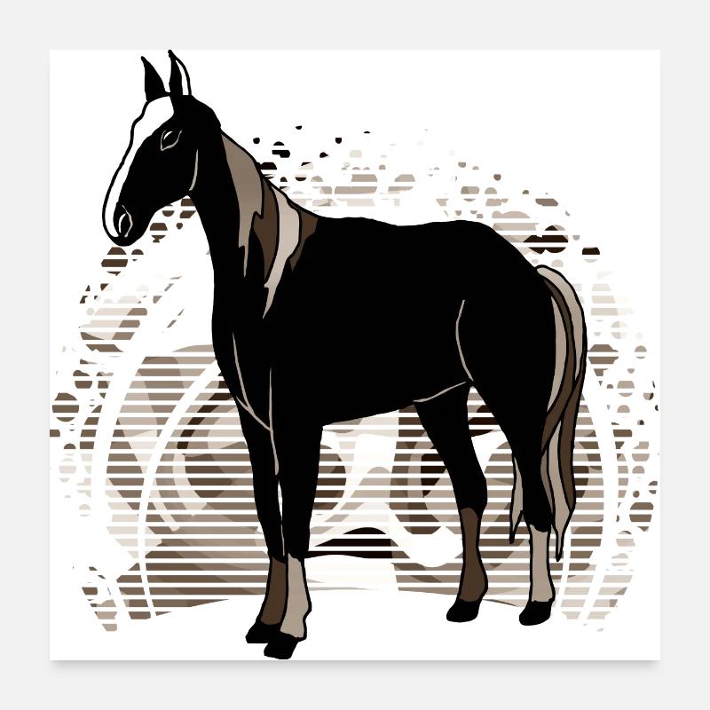 Pferd Poster 60x60 cm