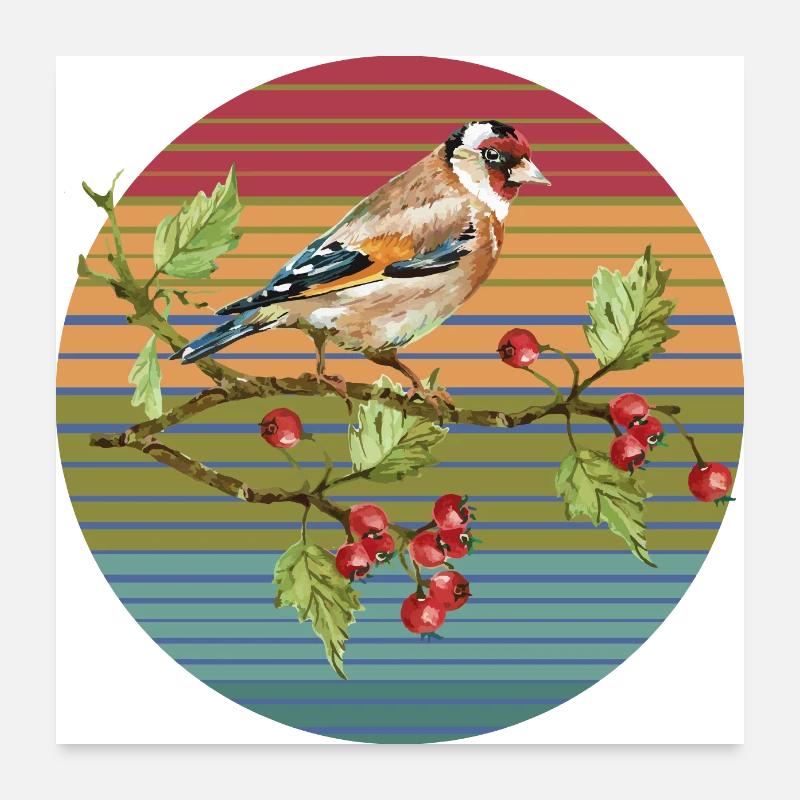 Oiseau coloré Poster 60 x 60 cm