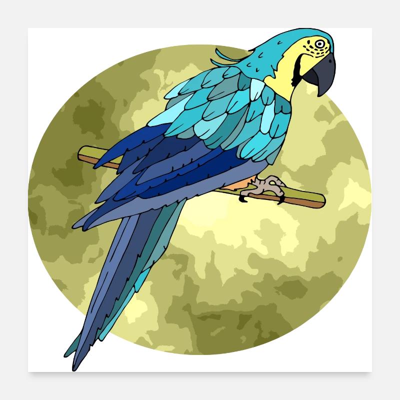 Oiseau Poster 60 x 60 cm