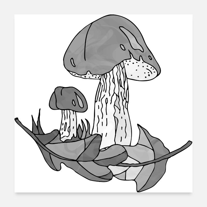 Pilze - Poster 60x60 cm - Weiß