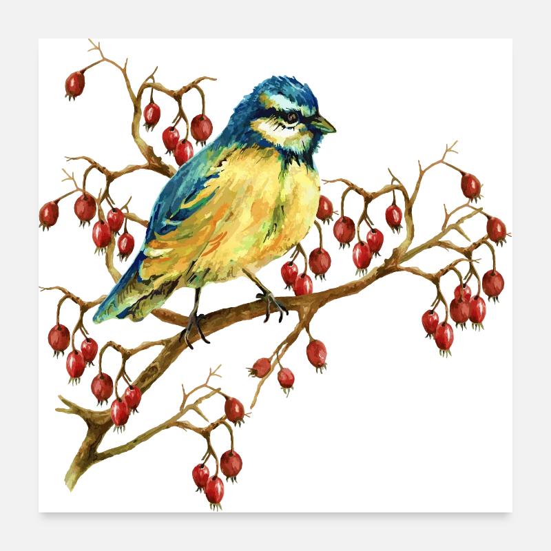 Oiseau coloré Poster 60 x 60 cm