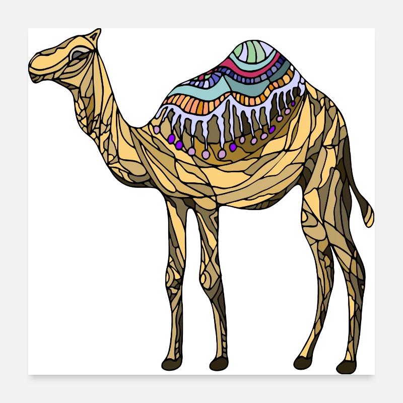 Camel Poster 24" x 24" (60x60 cm)