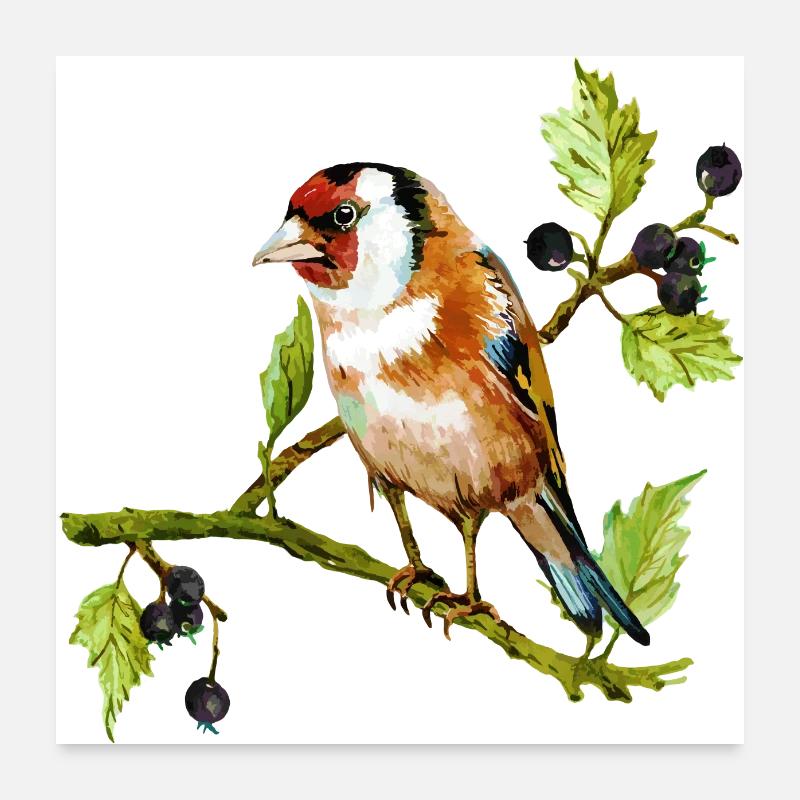 Bunter Vogel Poster 60x60 cm