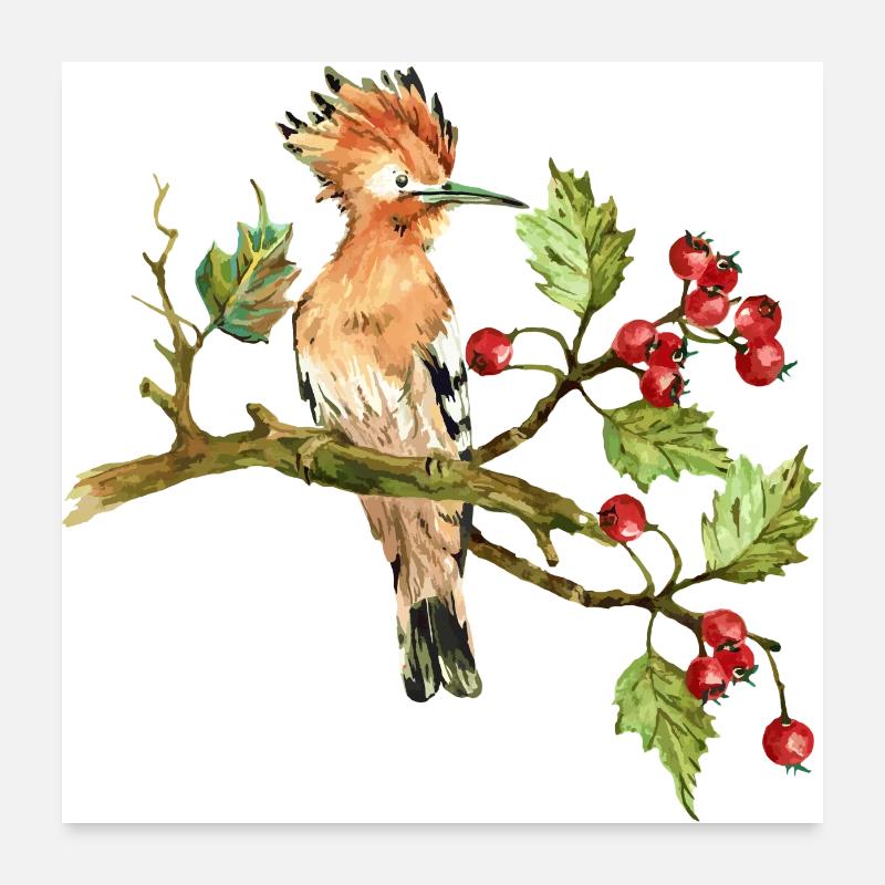 Colorful bird Poster 24" x 24" (60x60 cm)