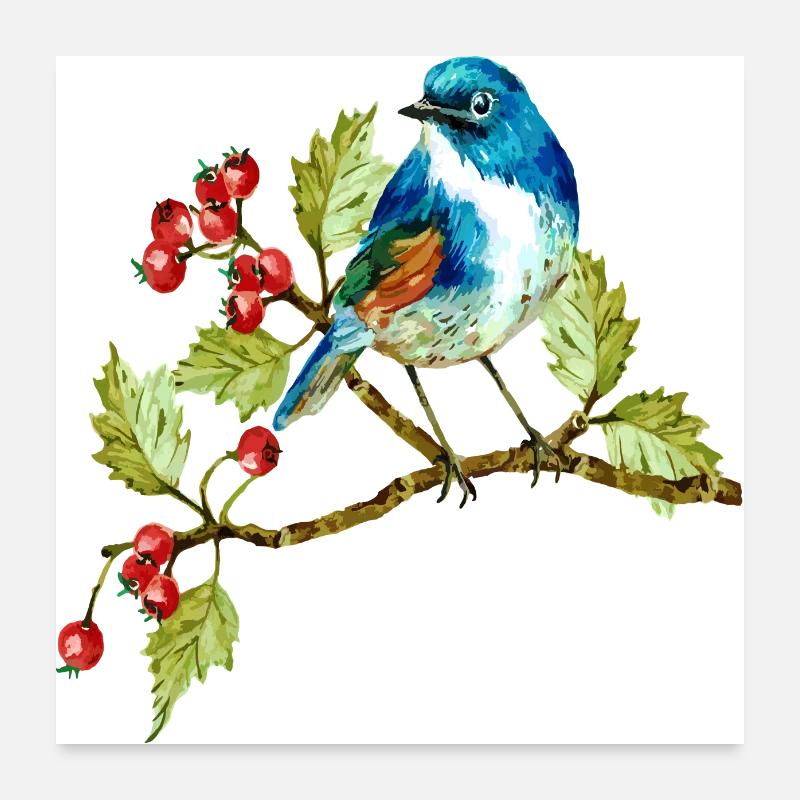 Bunter Vogel Poster 60x60 cm