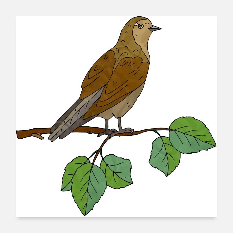 Bird Poster 24" x 24" (60x60 cm)