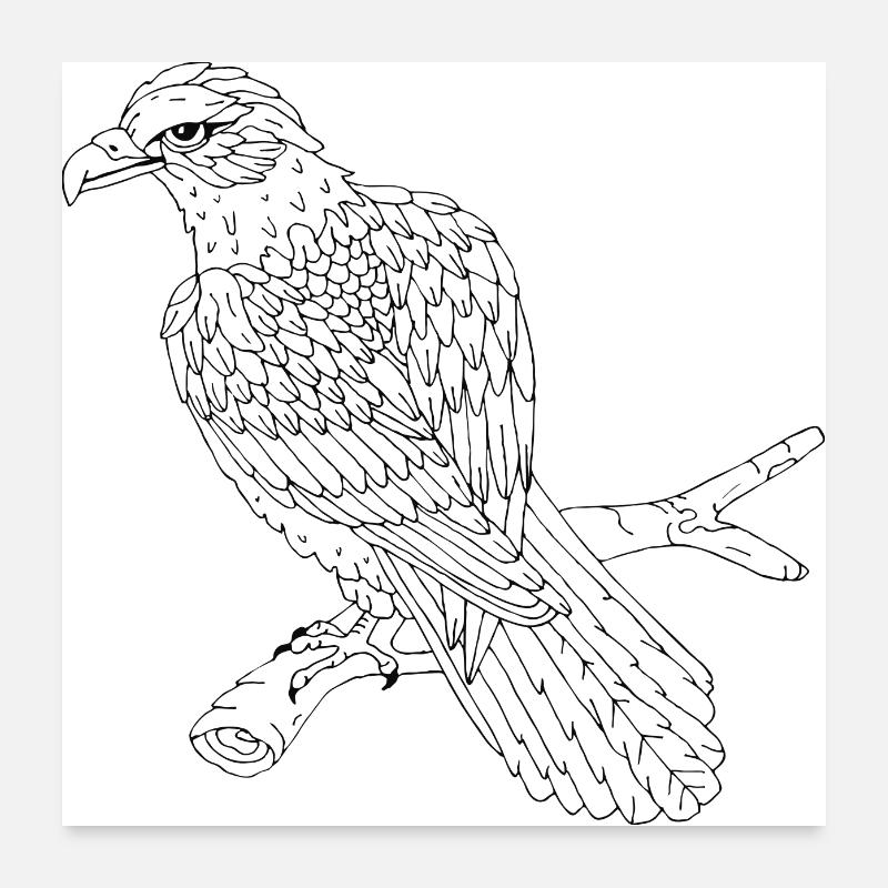 Oiseau Poster 60 x 60 cm