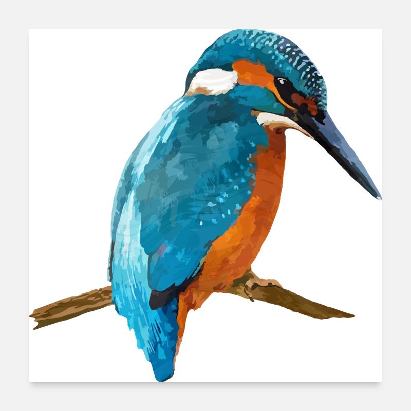 Vogel Poster 60x60 cm