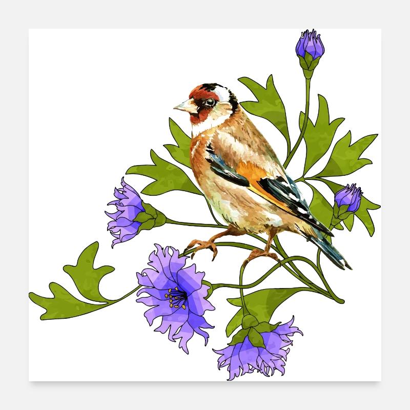 Bunter Vogel Poster 60x60 cm