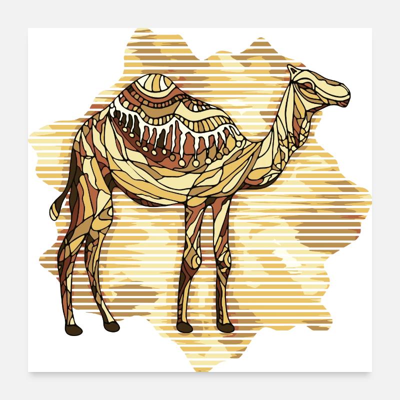 Chameau Poster 60 x 60 cm