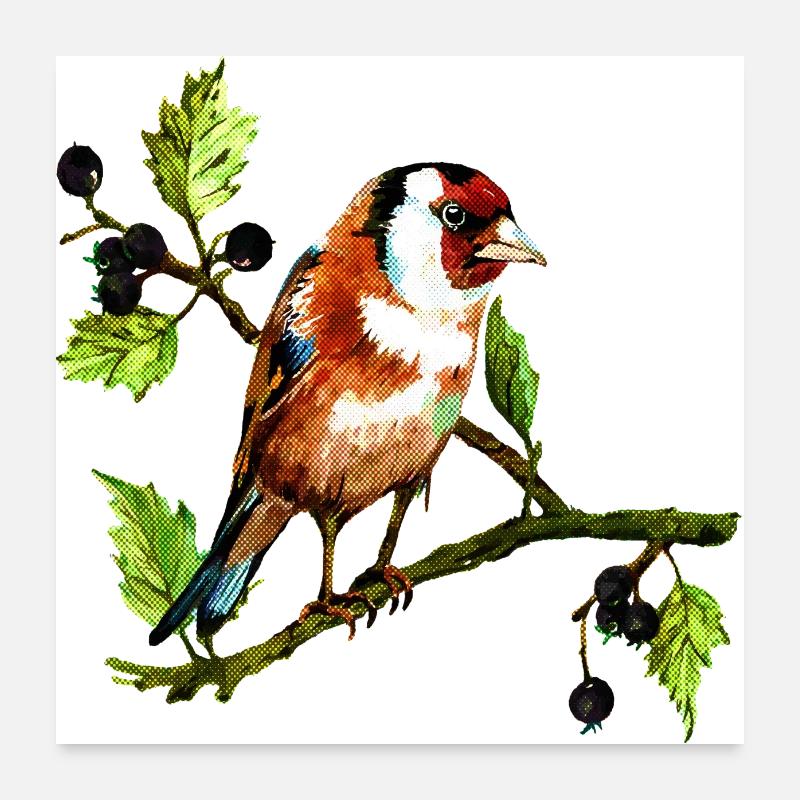 Bunter Vogel Poster 60x60 cm