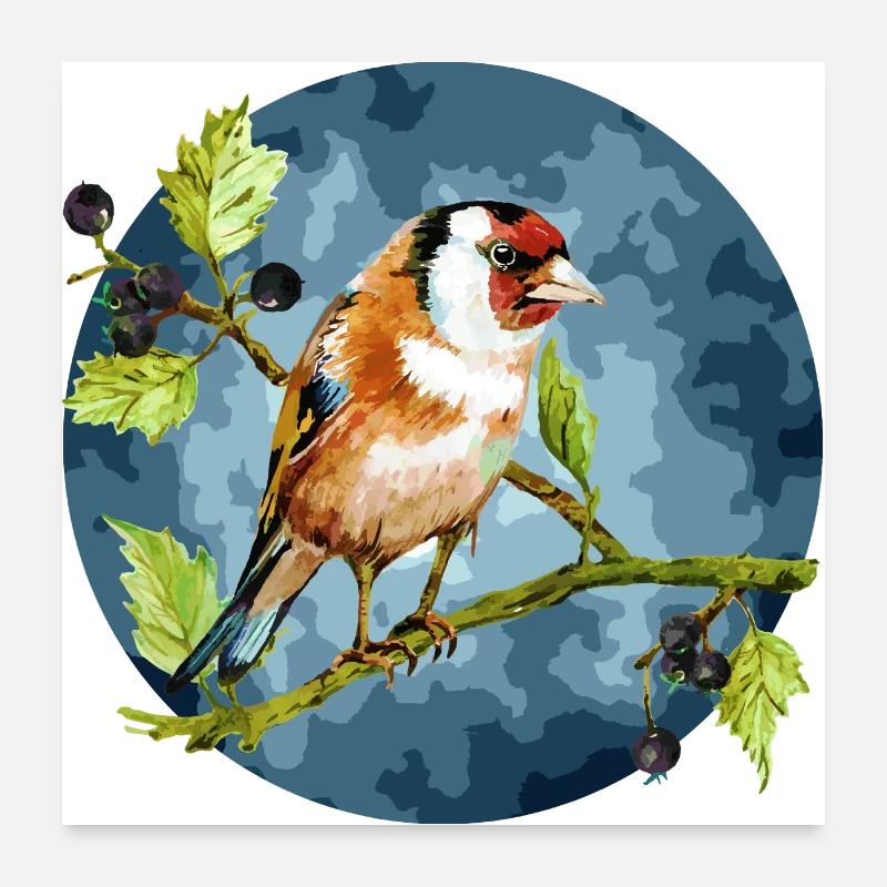 Bunter Vogel Poster 60x60 cm