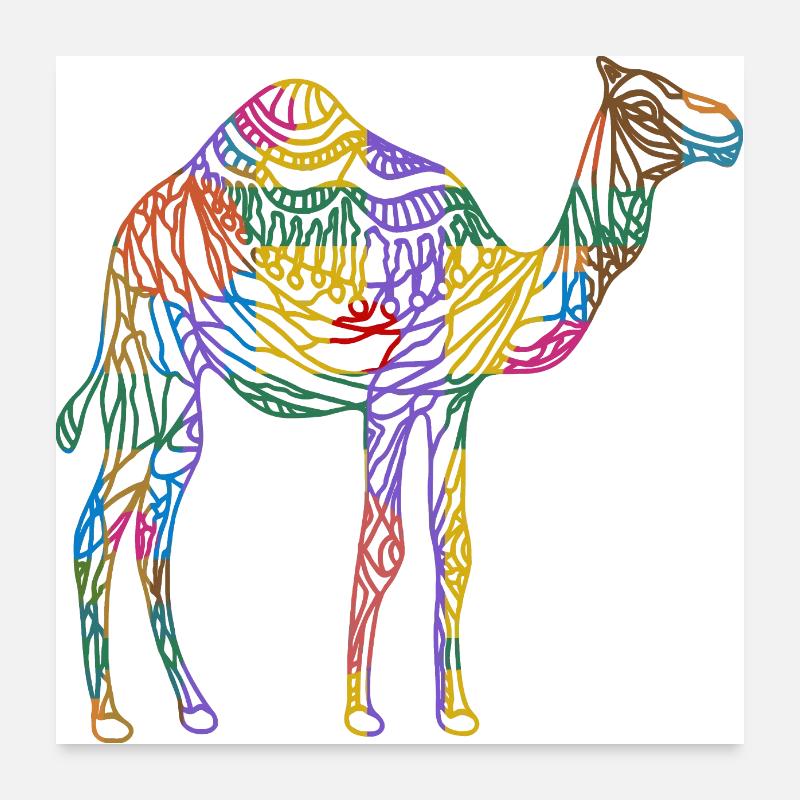 Camel Poster 24" x 24" (60x60 cm)