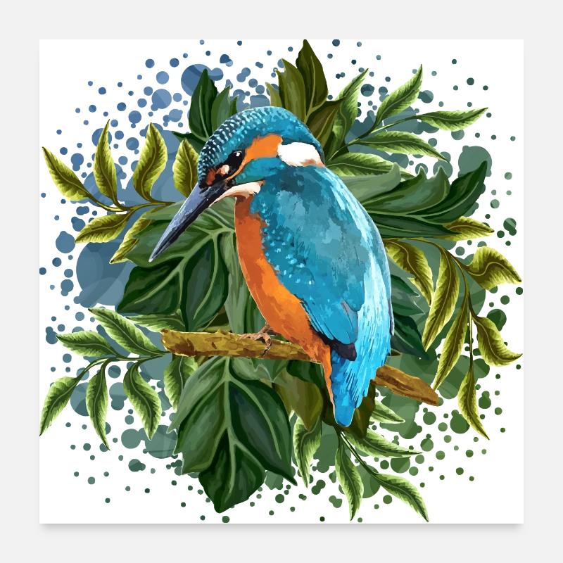Oiseau coloré - Poster 60 x 60 cm - blanc