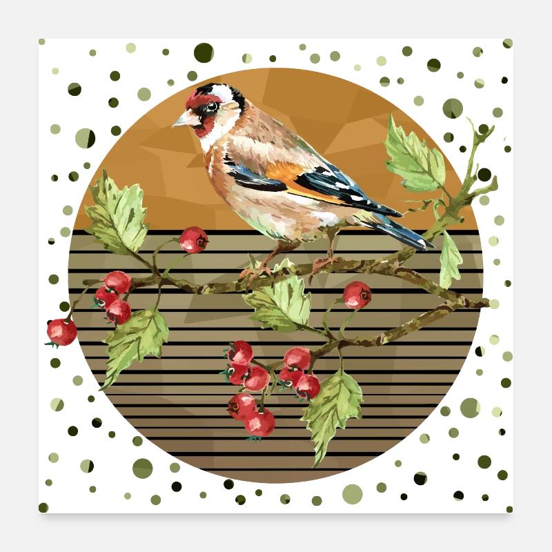 Colorful bird Poster 24" x 24" (60x60 cm)