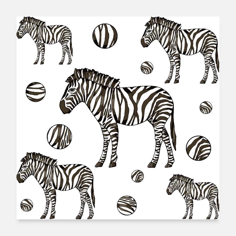 Zebras Poster 60x60 cm