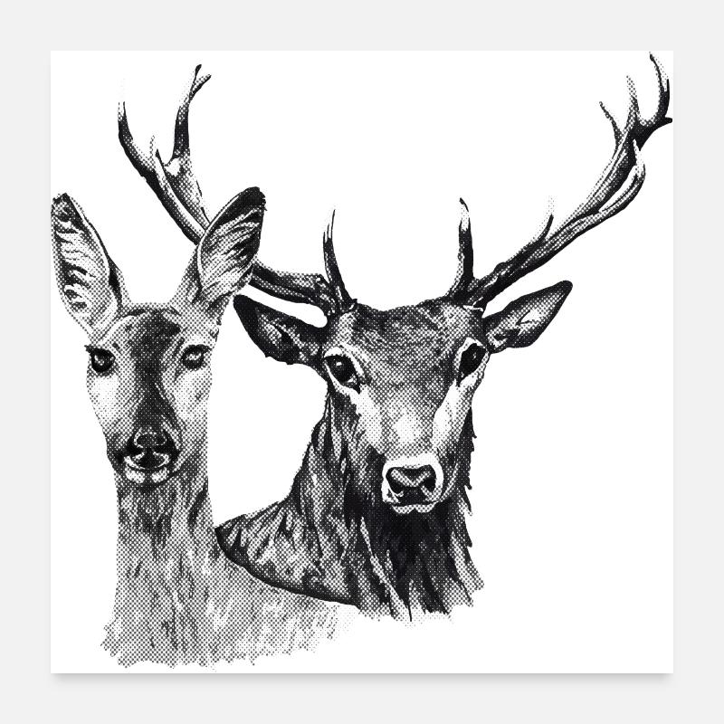 Hirsch und Reh Poster 60x60 cm