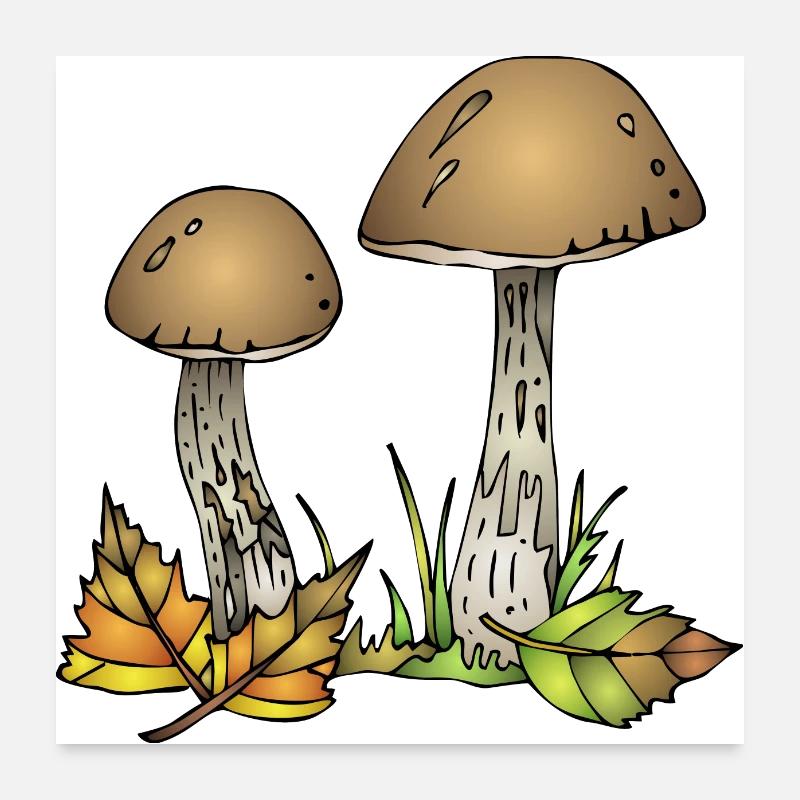 Fungi Poster 24" x 24" (60x60 cm)