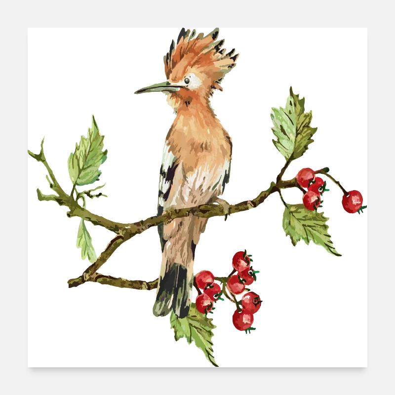 Oiseau coloré Poster 60 x 60 cm