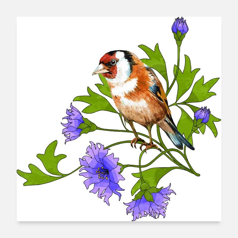 Oiseau coloré Poster 60 x 60 cm