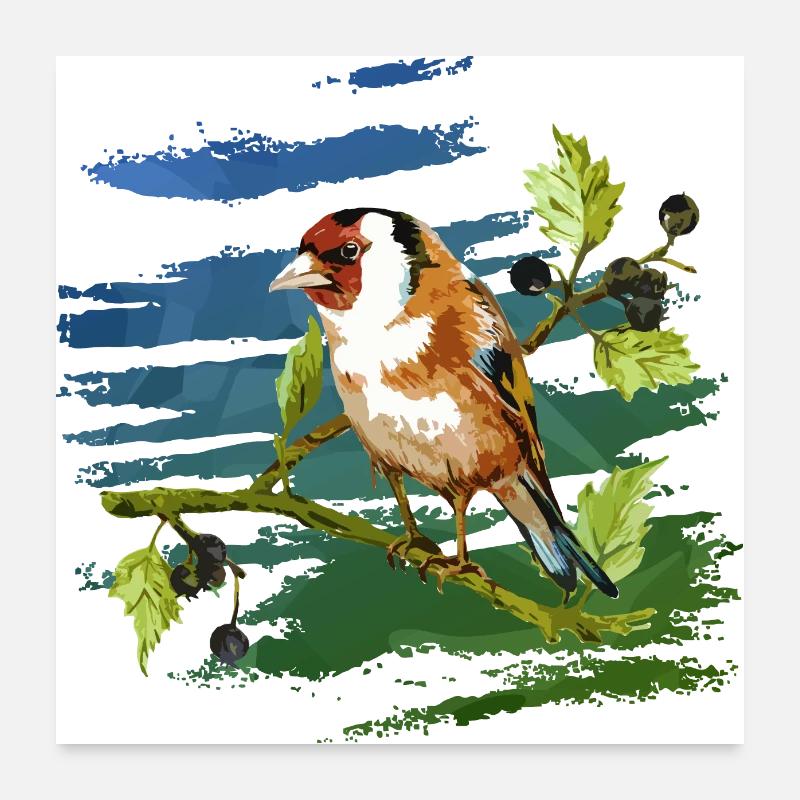 Oiseau coloré Poster 60 x 60 cm